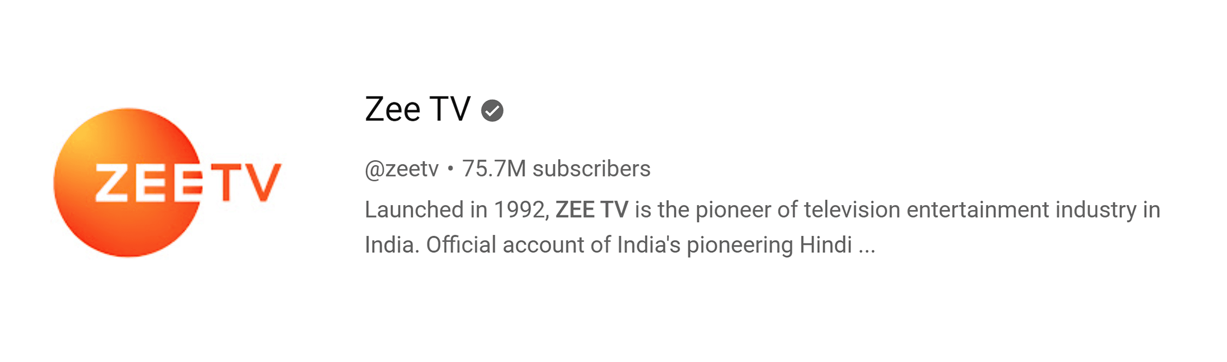 Zee TV
