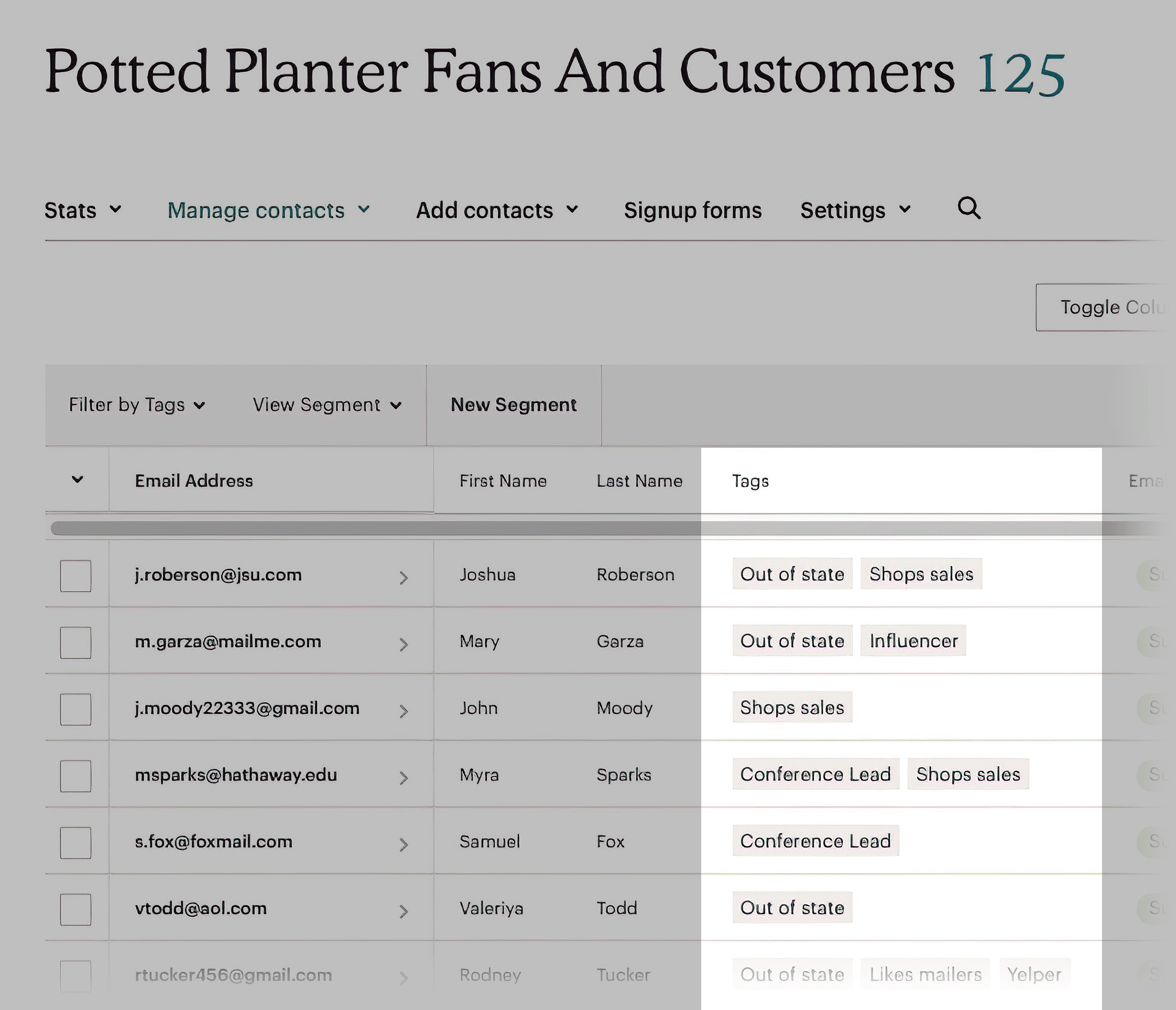 MailChimp – Tags