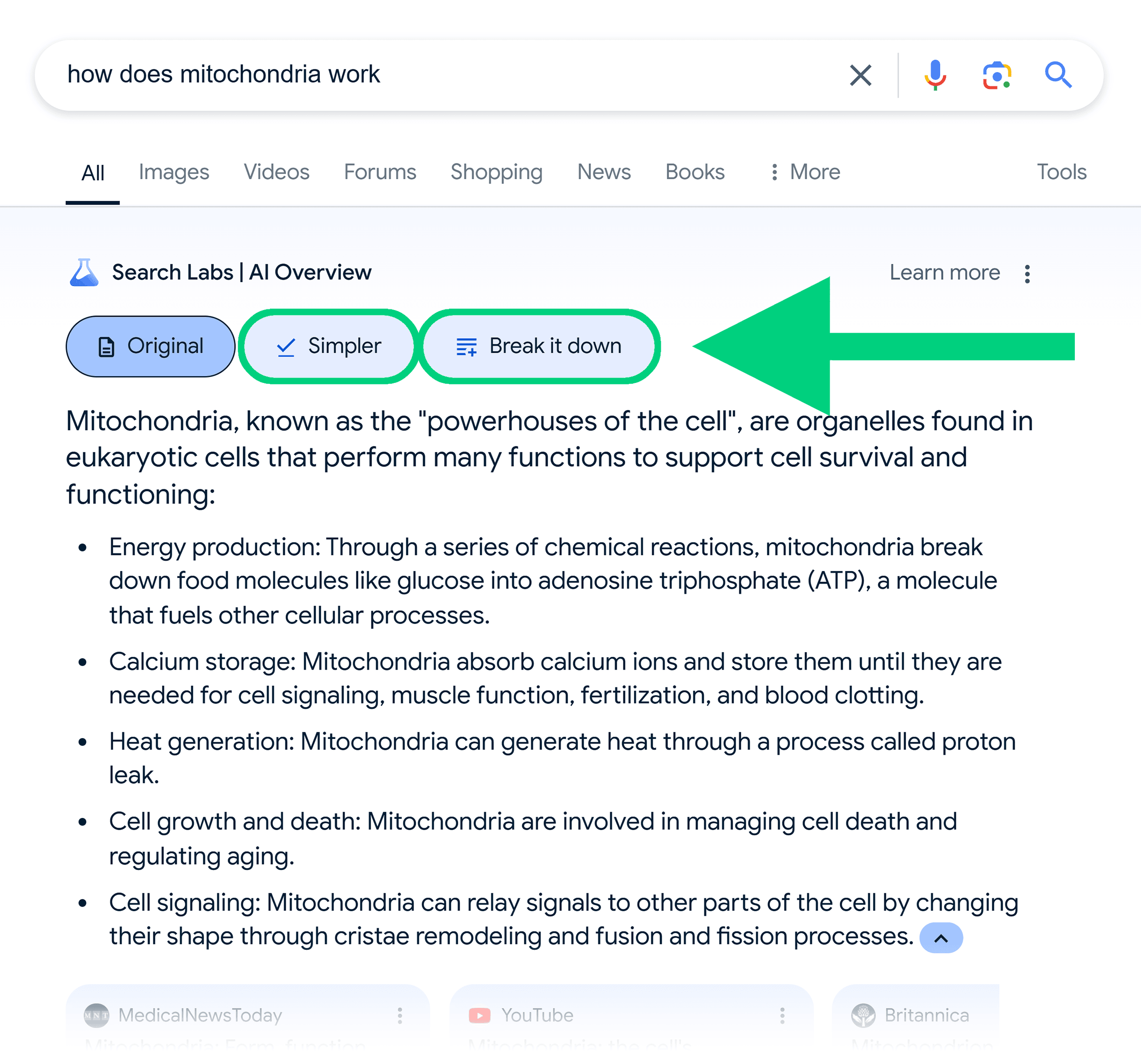 Google SERP – How does mitochondria work – AI Overview