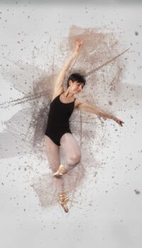 Multigallery |