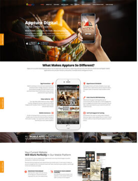 Website Design |